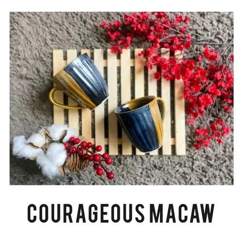 Courageous Macaw Coffee Mug - Set of 1