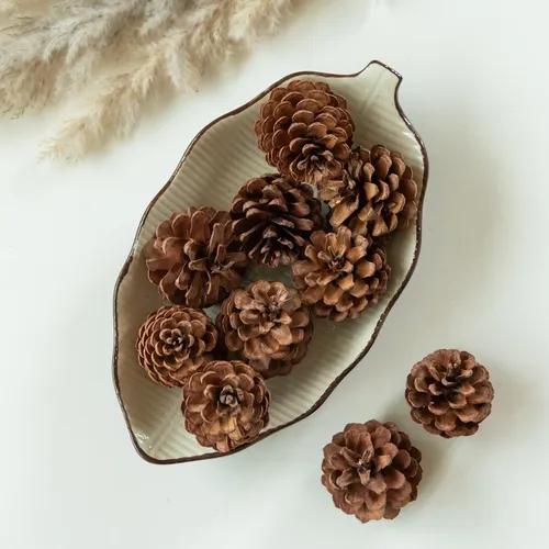 Pine Cones (Set of 10 pcs)